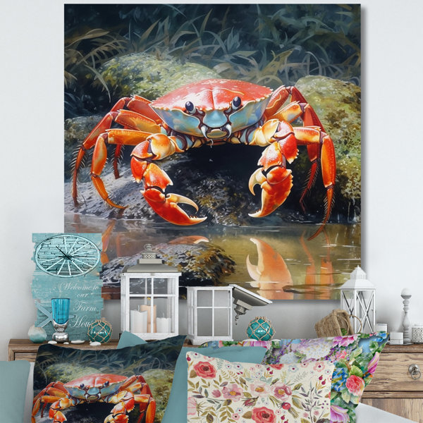 Dovecove Crab III On Canvas Print Wayfair Canada